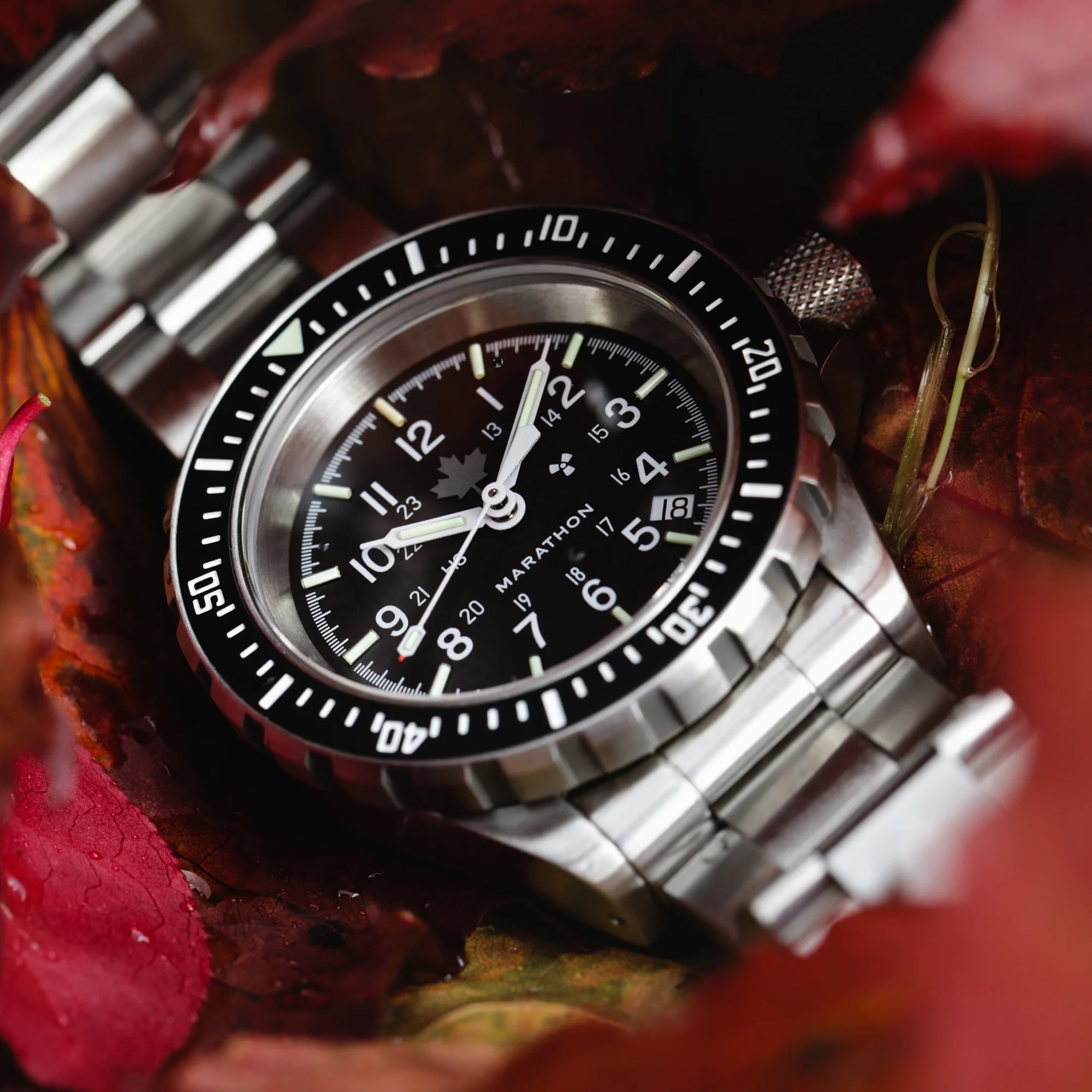 41mm Grey Maple Large Diver's Automatic (GSAR) with Stainless Steel Bracelet 6 41mm Grey Maple Large Diver's Automatic (GSAR) with Stainless Steel Bracelet